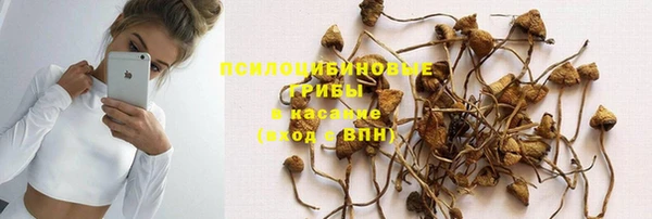 метадон Белокуриха