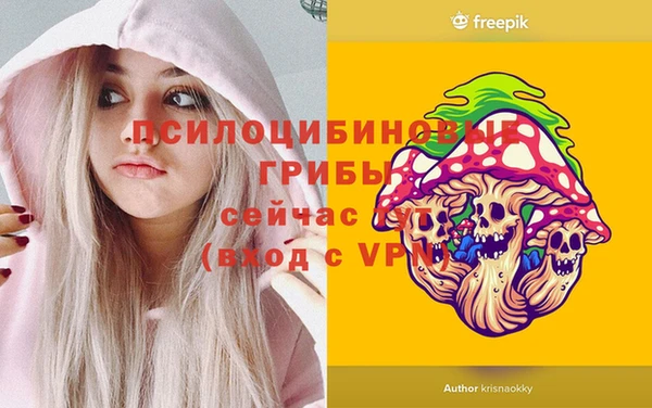 apvp Белоозёрский